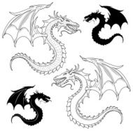 dragon profile in black an white