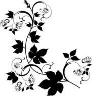 raspberry pattern N4