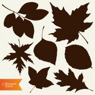 Vector set of autumn leaves silhouettes