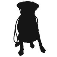 Labrador Retriever Leash Silhouette