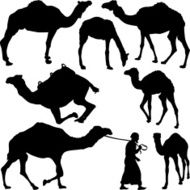 Camel&#039;s silhouettes