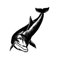 dolfin