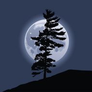 Moonrise