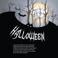 halloween backdrop N2
