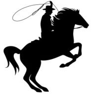 Cowboy N30