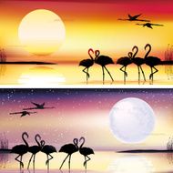 Flamingos silhouettes illustrations set