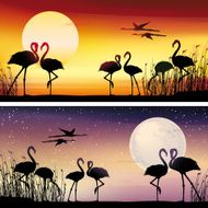 Flamingos silhouettes illustrations set N2
