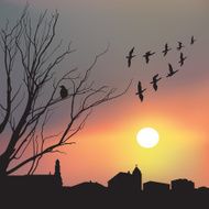 Birds In Flight N2