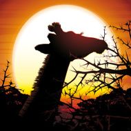The Giraffe silhouette safari in savanna against hot sun