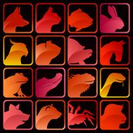 Pets color icon set