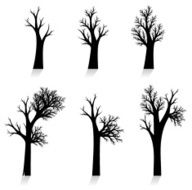 Vector tree silhouette N8