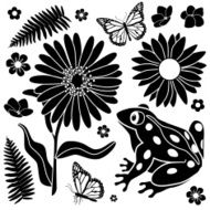 Spring frog
