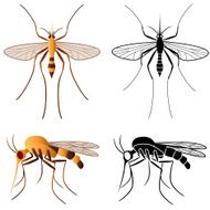 Mosquito N8