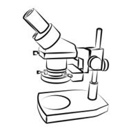Vector drawing of the microscope