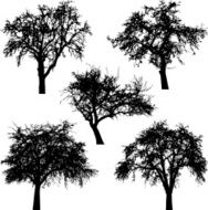 Winter Tree silhouette vector N3