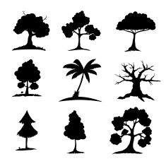 Silhouettes N20