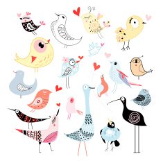 Beautiful graphics birds