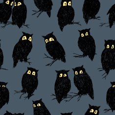 owls N14