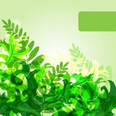 Green Leafs N7