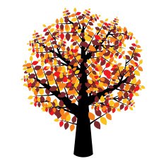 Autumn Tree N38