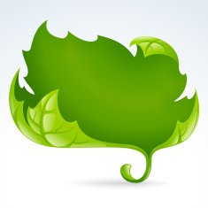 Vector green leaf frame spring background 2