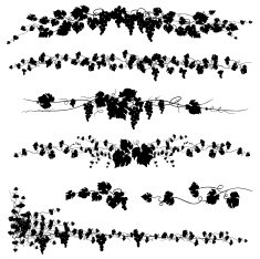Stylized Black Grapevines page dividers swag silhouettes