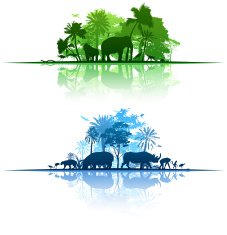 Nature Elements N4