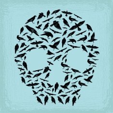 bird skull N2