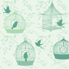 Cute Birds and Birdcages