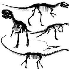 dinosaur silhouettes N5