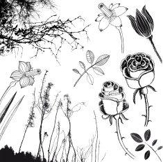 Doodle flowers and plants N2