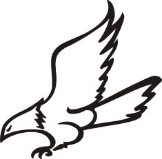 Eagle N20