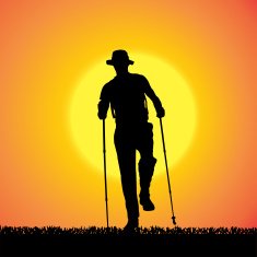 Vector silhouette of man N146