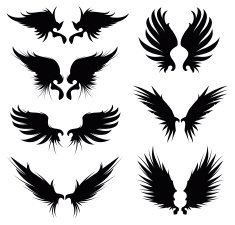 silhouette wing III