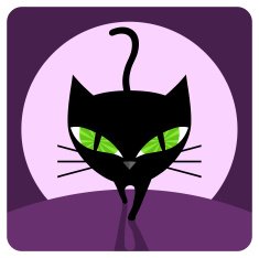 Black Cat N35