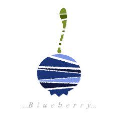 Vector of fruit blueberry icon N2