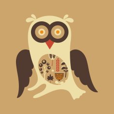 Owl with colorful flowers inside N2