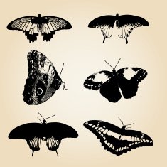 six types of black vector butterfly eps10