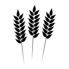 Wheat icon Vector illustration N2