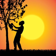 Vector silhouette of a man N754