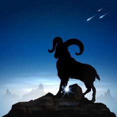 Mountain Goat N3