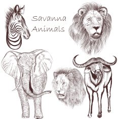 Collection of vector hand drawn savanna animals for design
