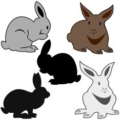 Rabbit N55