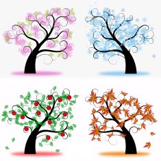 all seasons