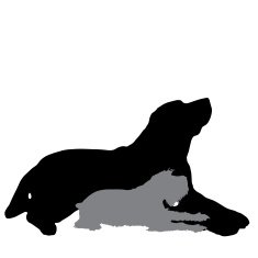 Vector silhouette of a dog N171
