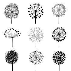 Set of Dandalions