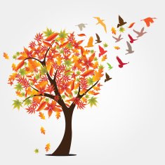 Autumn Tree N40