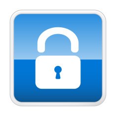 Lock Vector icon