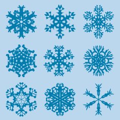 Snowflake icon Winter theme snowflakes of different shapes N22