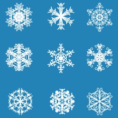 Snowflake icon Winter theme snowflakes of different shapes N23